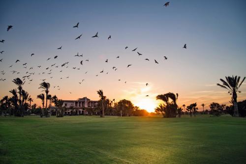 Du Golf Getaway Package (18 Holes) del hotel Pickalbatros Hôtel Du Golf - Adults Friendly 16 Years Plus- All-Inclusive. Foto 3