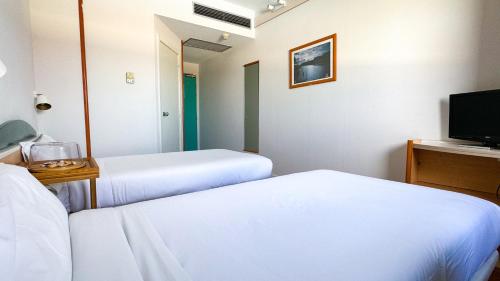Habitación Doble - 1 o 2 camas del hotel Iris Guadalajara. Foto 6