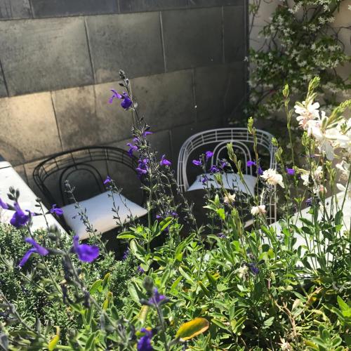 Classic Double Room with Terrace 