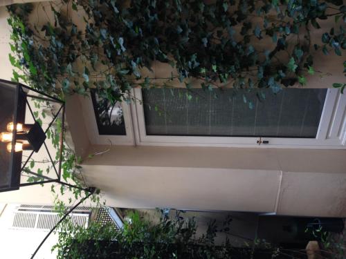 Habitación Individual - Adaptada para personas con movilidad reducida - Planta baja del hotel RECAMIER