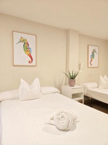 Habitación Doble - 2 camas del hotel Celta. Foto 5
