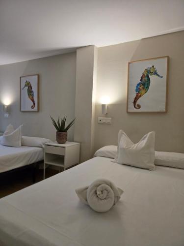 Habitación Doble - 2 camas del hotel Celta. Foto 6