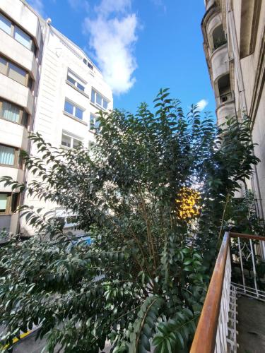 Apartamento Deluxe del hotel Celta