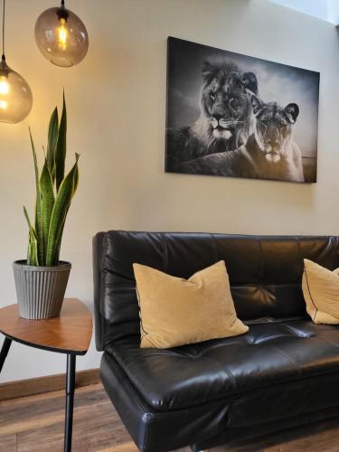 Loft del hotel Celta. Foto 3