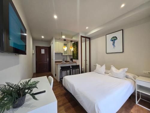 Estudio Estándar del hotel Celta. Foto 4
