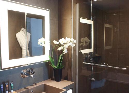 Habitación Classic - Una cama doble del hotel Novotel Spa Rennes Centre Gare. Foto 2
