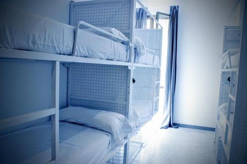 Cama en habitación compartida mixta con 6 camas y baño privado del hotel Feel Hostels Soho Malaga