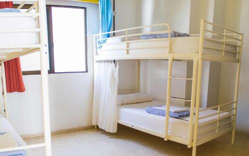 Cama en habitación compartida mixta de 6 camas del hotel Casa Grande Surf. Foto 5