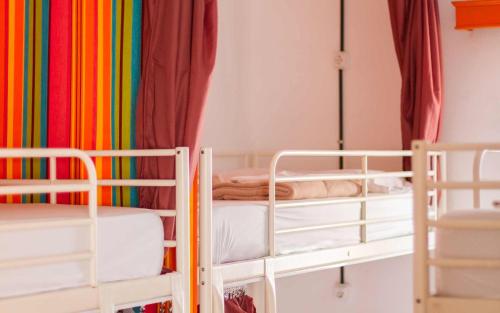 Cama en habitación compartida mixta de 6 camas del hotel Casa Grande Surf. Foto 7