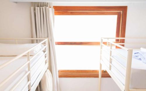 Cama en habitación femenina compartida de 4 camas del hotel Casa Grande Surf. Foto 2