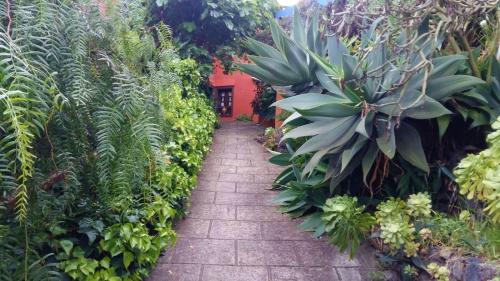 Villa de 1 dormitorio con terraza del hotel Casa Ida. Foto 10