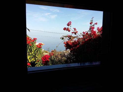 Apartamento con terraza del hotel Casa Ida. Foto 7