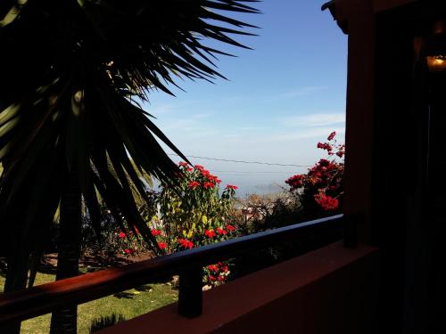 Apartment with Terrace del hotel Casa Ida. Foto 9