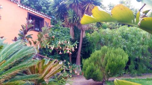 Villa de 1 dormitorio con vistas al jardín del hotel Casa Ida. Foto 1