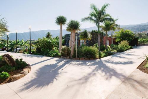 Apartamento de 1 dormitorio del hotel Finca el Patio. Foto 3