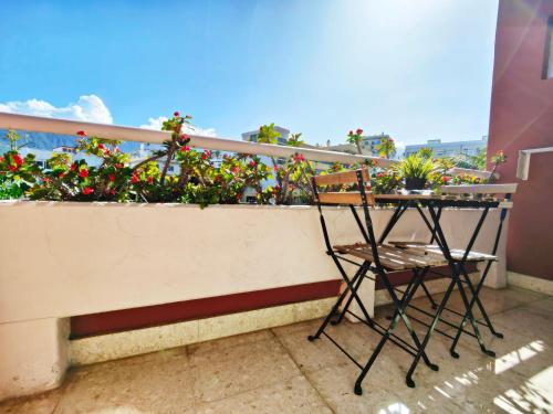 Estudio Balcón o Terraza Con Cocina 1 Cama king 1 Cama Individual del hotel Don Cándido