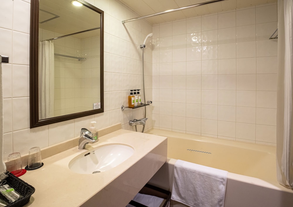 Superior 2 Camas Individuales, No Fumadores del hotel Ibis Styles Sapporo. Foto 4