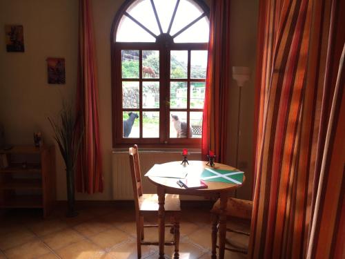 Estudio con vistas a la piscina del hotel Finca AliBaba. Foto 8