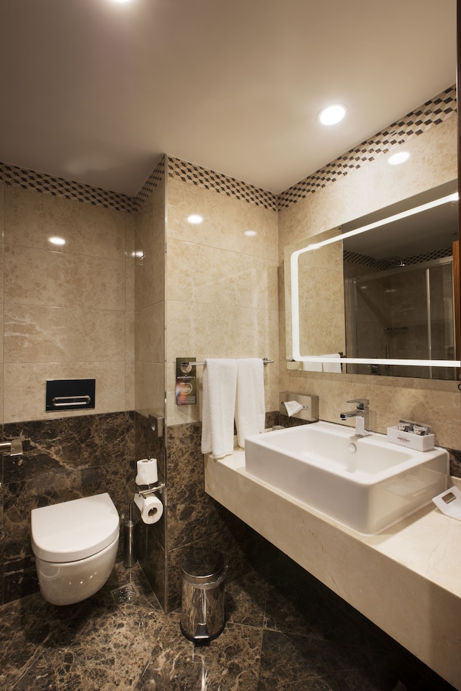 Habitación Deluxe con 1 cama doble del hotel Mercure Istanbul Bakirkoy. Foto 6