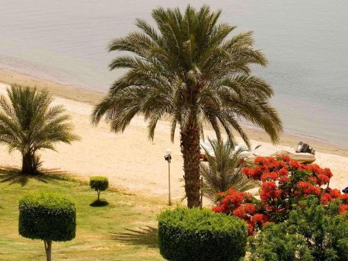 Suite Junior con 1 cama doble, vistas al lago del hotel Mercure Ismailia Forsan Island. Foto 10