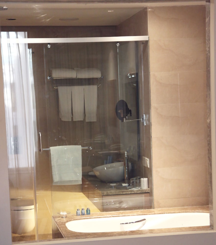 Habitación Business (Business Class) del hotel Radisson Blu New Delhi Dwarka. Foto 6