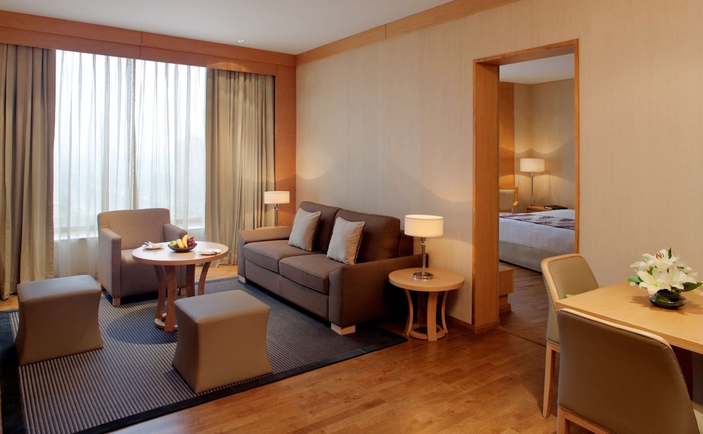 Suite (Radisson Blu) del hotel Radisson Blu New Delhi Dwarka
