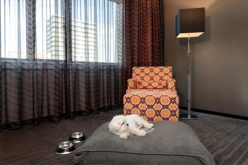 Habitación Doble Superior - 2 camas del hotel Sheraton Essen. Foto 6