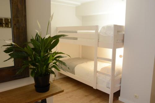 Apartamento del hotel Yomo Patagonia. Foto 6