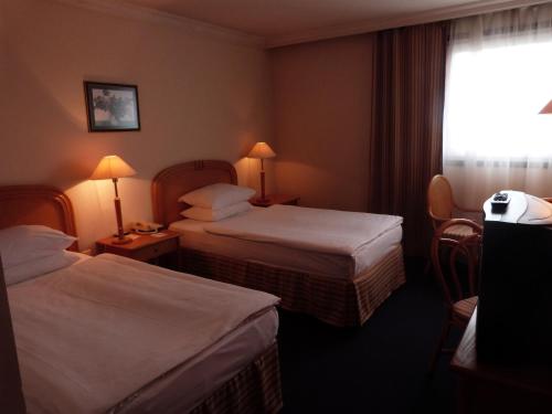 Habitación Doble Económica - 2 camas del hotel Ramada By Wyndham Sofia City Center