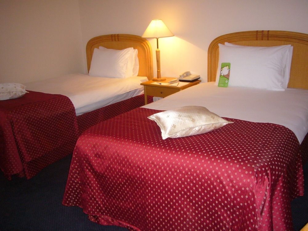 Habitación para no fumadores, con 2 camas Twin del hotel Ramada By Wyndham Sofia City Center. Foto 1