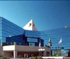 La Joya Pachuca