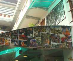 Junior Guesthouse