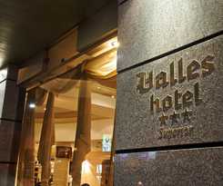 Hotel Valles