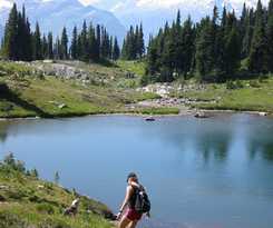 Hotel Glacier House Resort