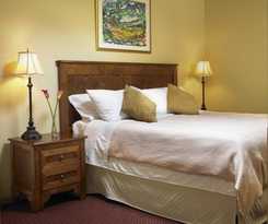 Swans Brewery, Pub and