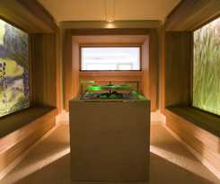 Hotel Das Kronthaler - Adults Only