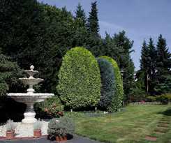 Garten-hotel Ponick