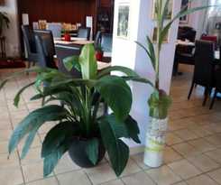 Attaché Frankfurt Airport Raunheim