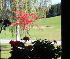 Hotel Landhaus Seehof