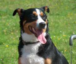 Hotel Hotel Oberländerhof