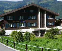 Alpenkräuter Bären