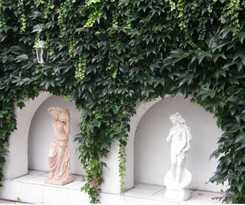 Garni