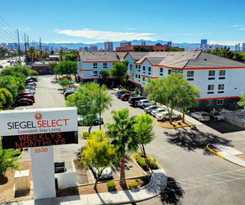 Siegel Select Flamingo