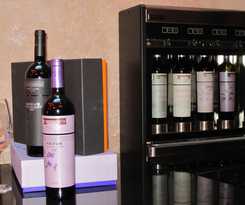 Nexus Valladolid Suites and