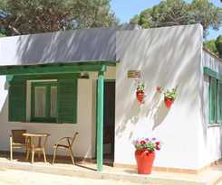 Pinar San José