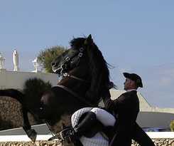Son Granot