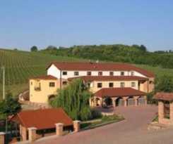 Hotel Zdjelarevic Hotel y Winery