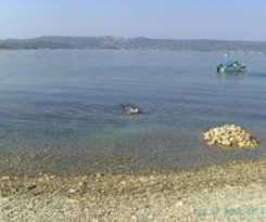 Hotel Apartments Esperanca