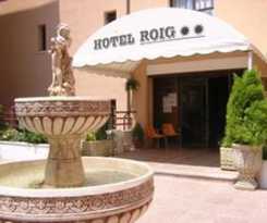 Roig