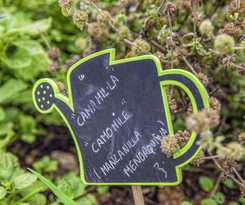 White Sands Beach Club